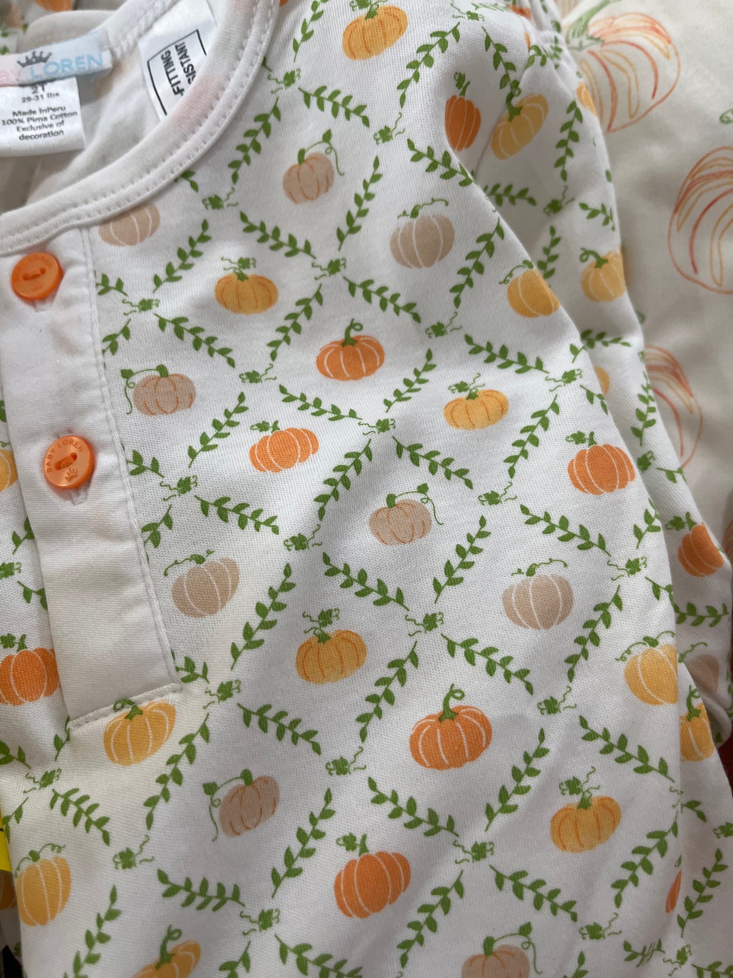 Pumpkin Patch 2-piece