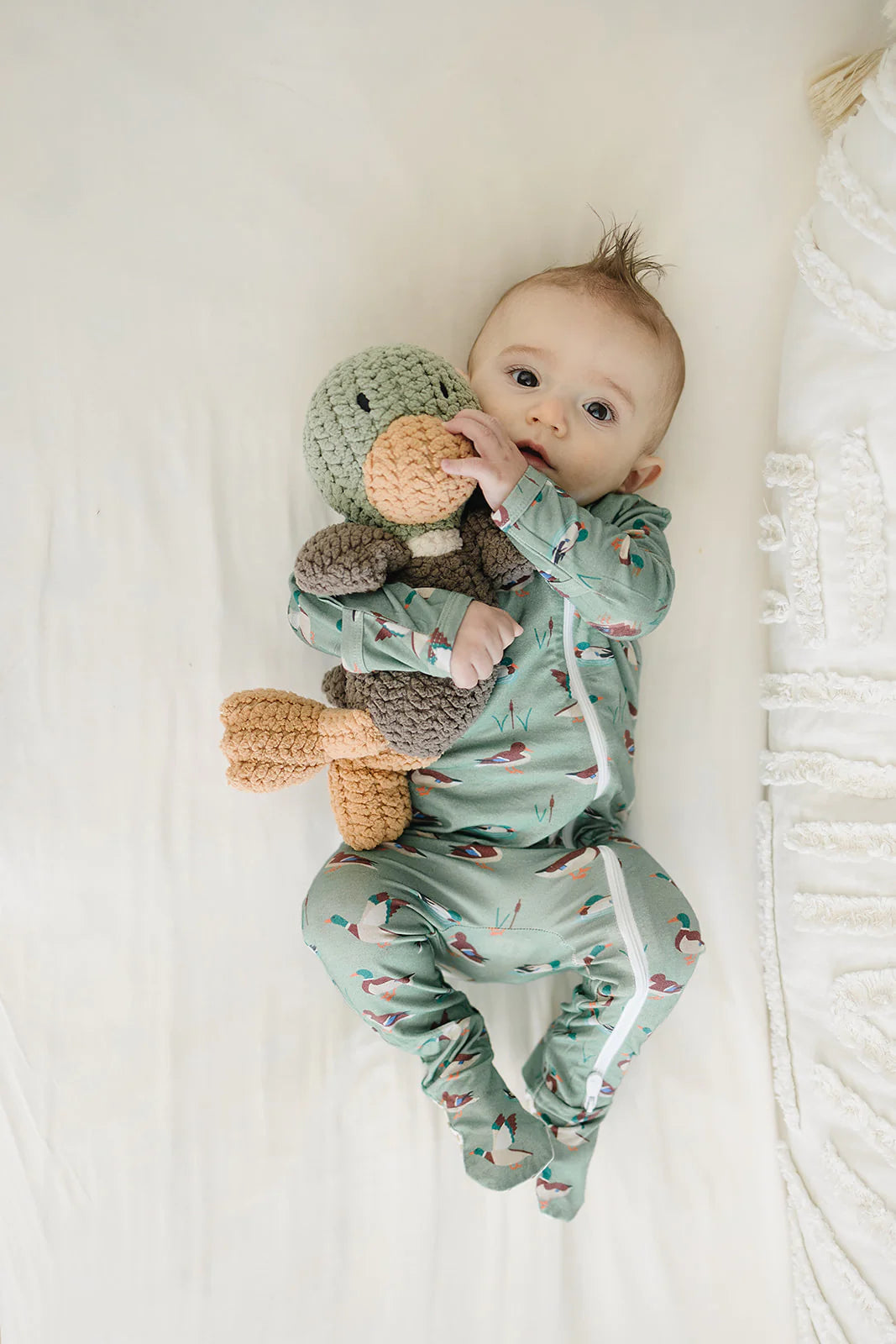 Lovie - Hunter the Mallard