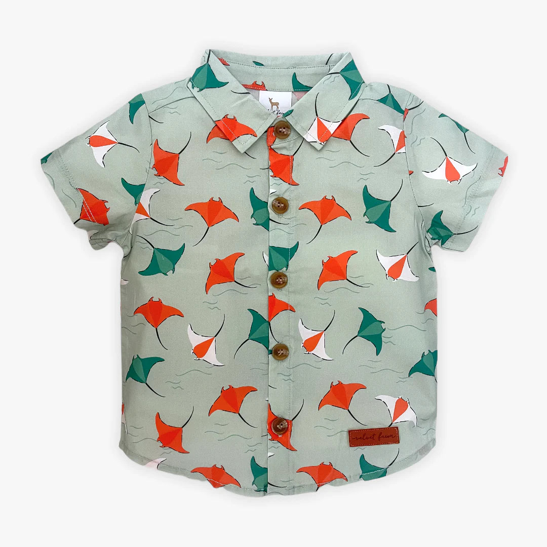 Stingray - Nash Button Down