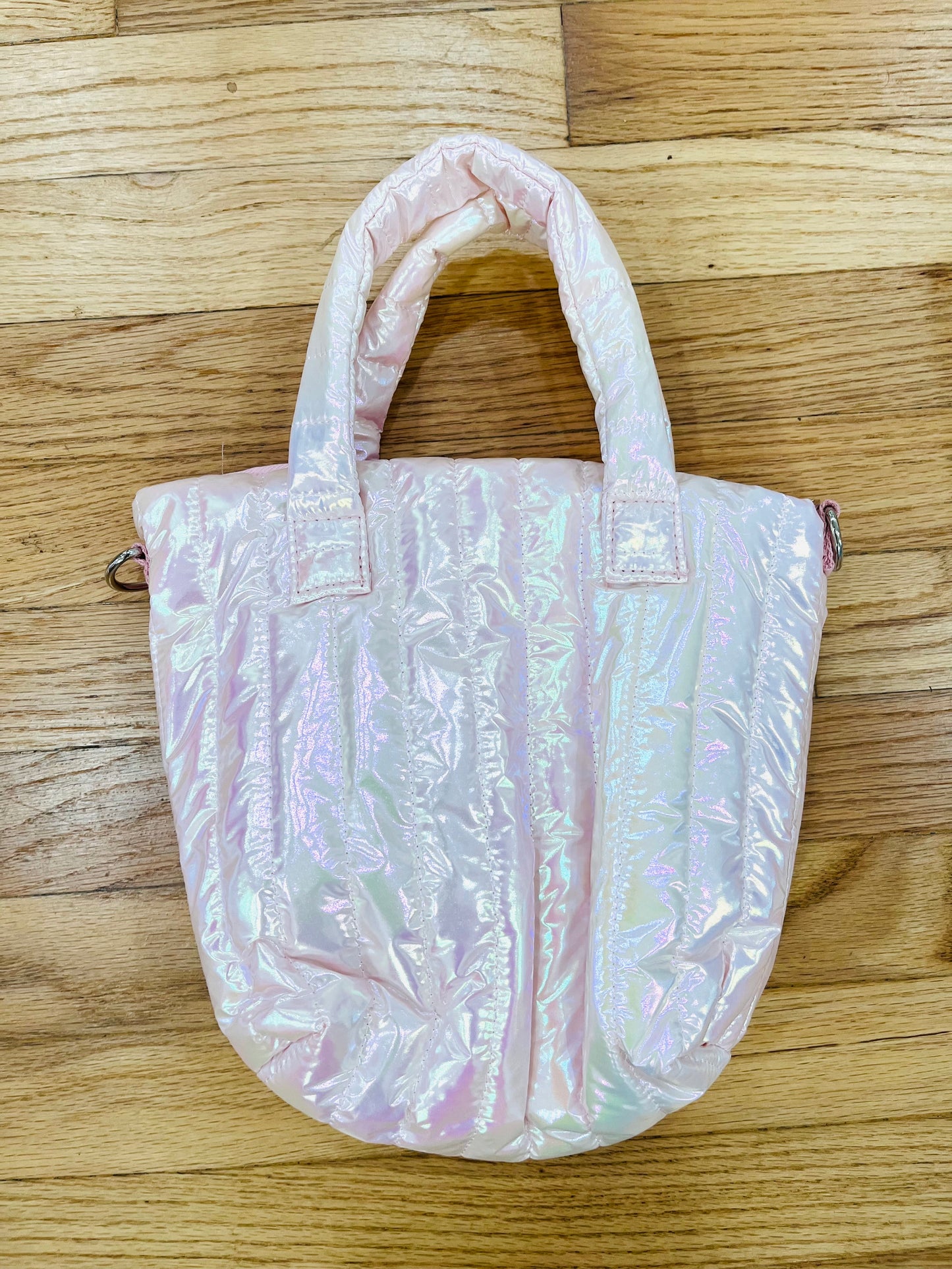 Any Iridescent Purse