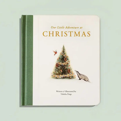 Our Little Adventure at Christmas