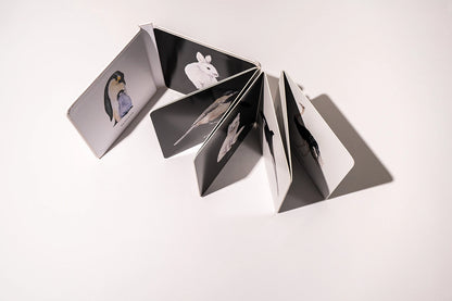 Black & White Contrast Book