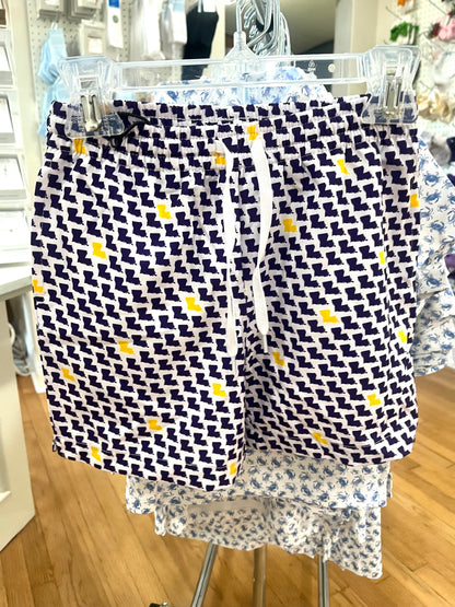 Louisiana Swim(Purple/Gold)