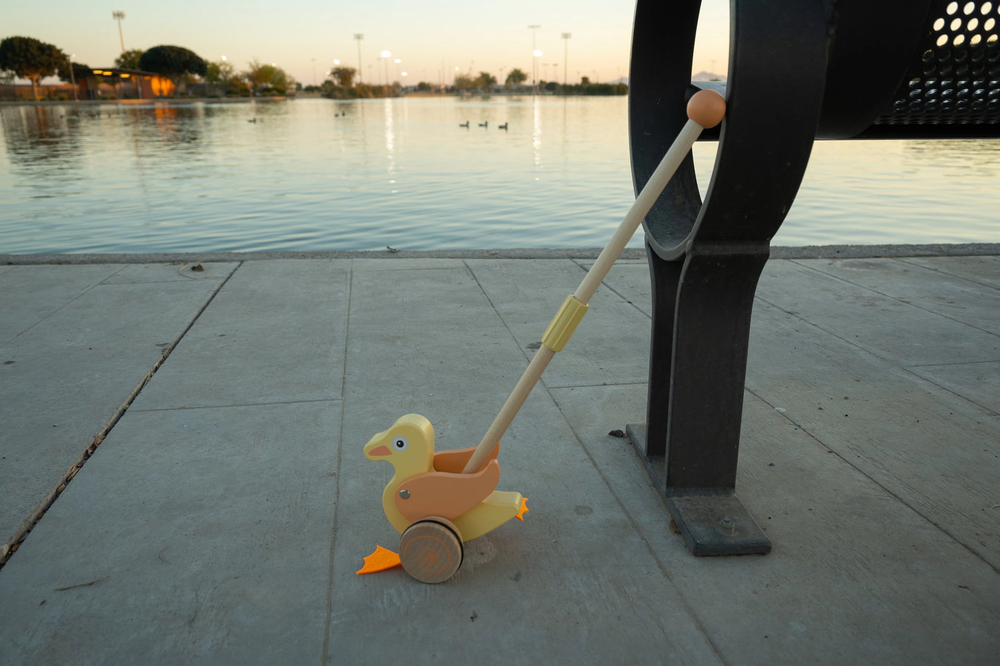 Duck Push Toy