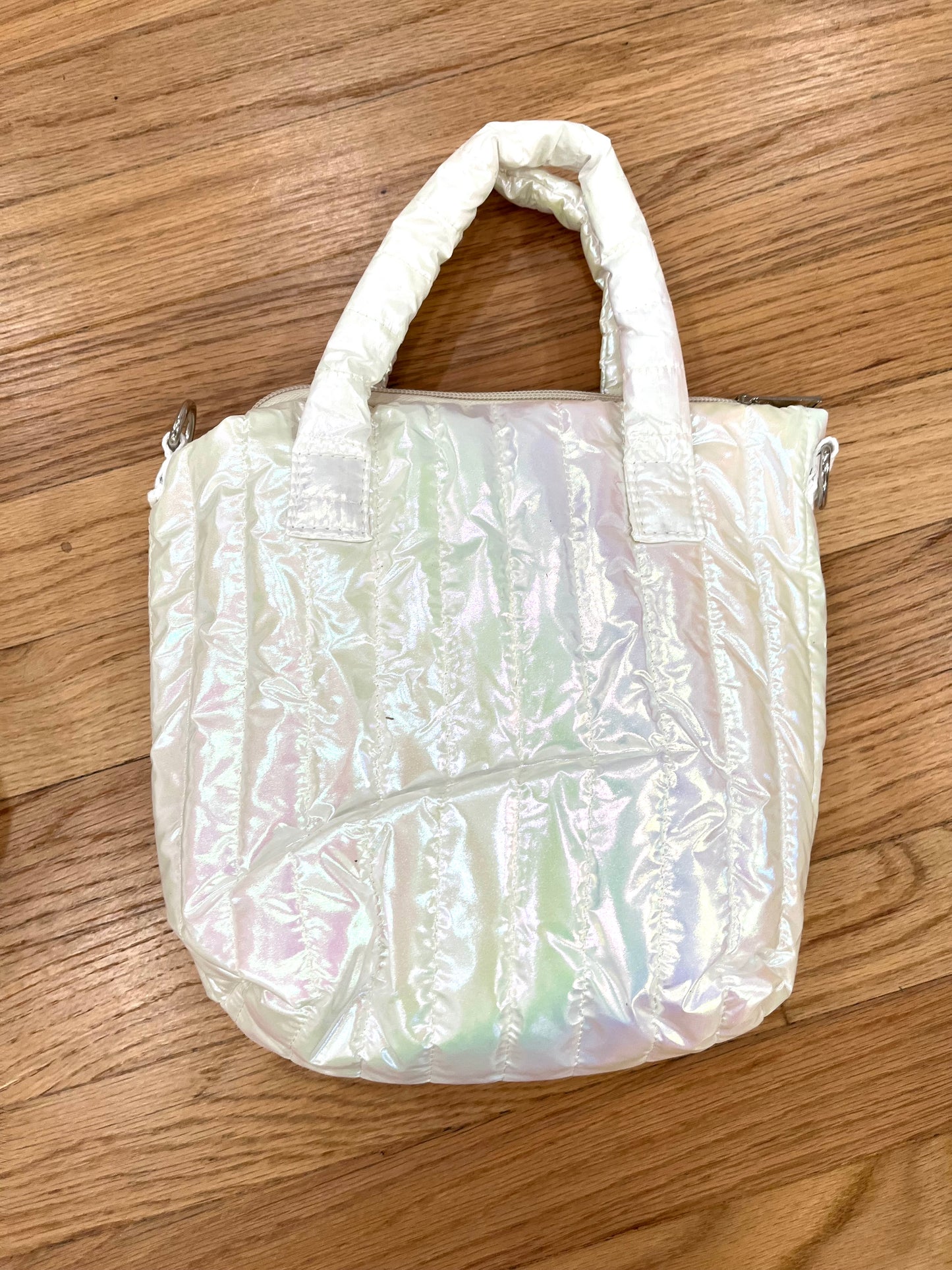 Any Iridescent Purse