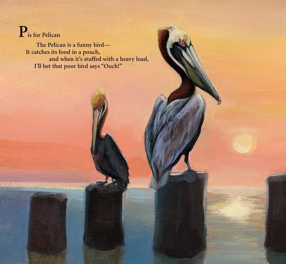 P is for Pelican